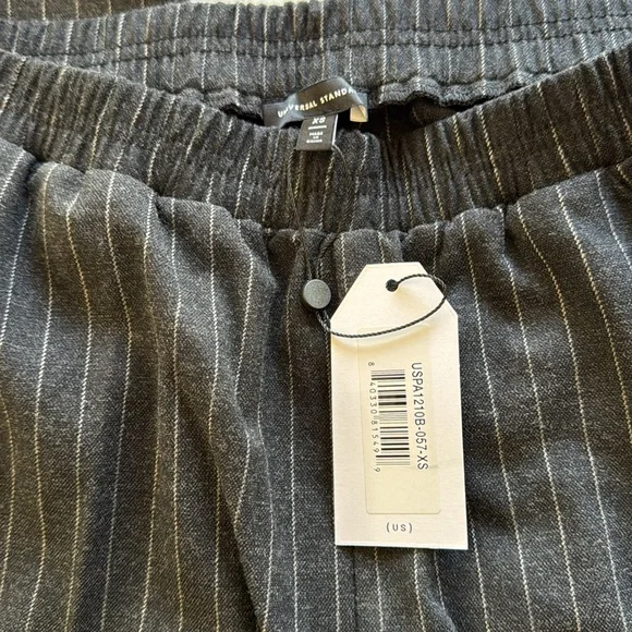 Universal Standard The Pinstripe Pants